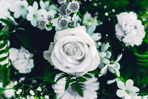 Happy White Day!?