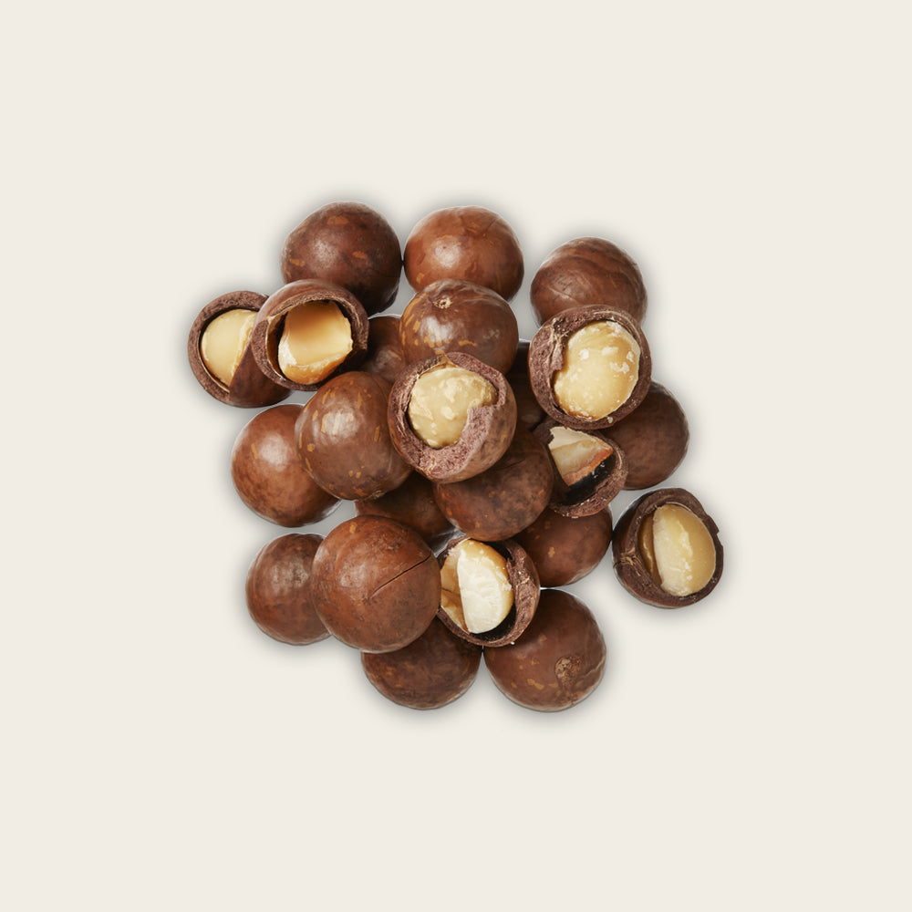 Macadamia Ternifolia Seed Oil – STEAMCREAM