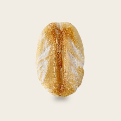 Oats