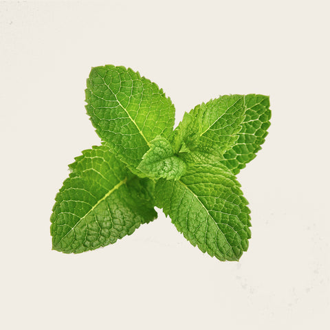 Peppermint Oil