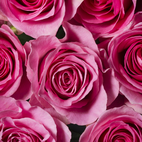 Damask Rose Flower Wax