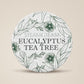 Eucalyptus & Tea Tree Cream and Mist Duo